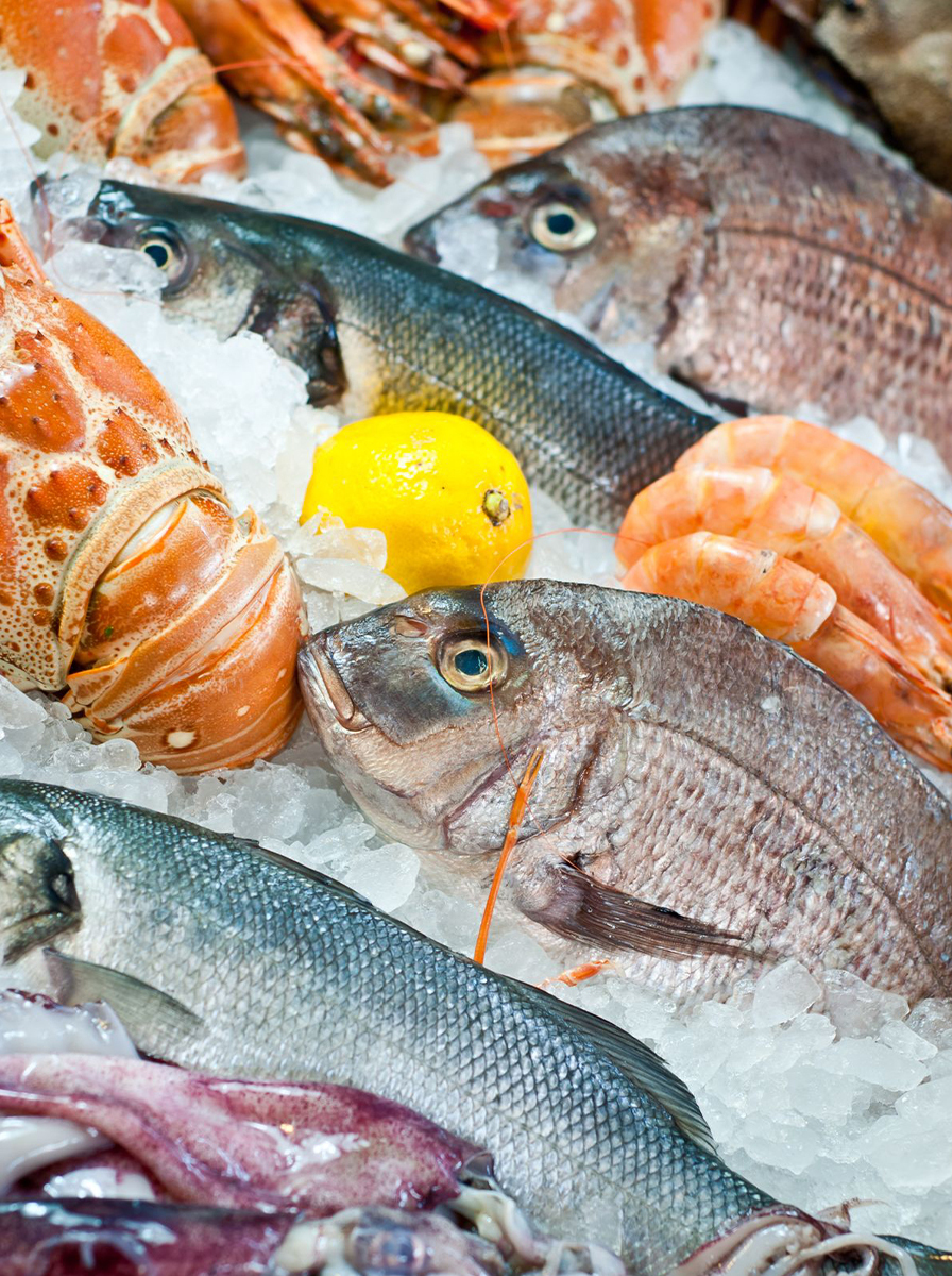Sourced with Precision - Fresh Norwegian Salmon & Product