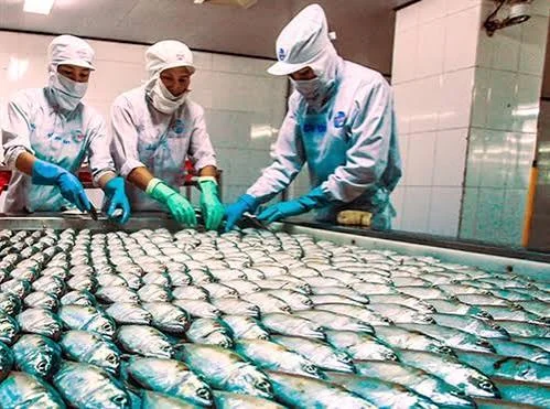 Expansion of Fresh Seafood Supply Network
