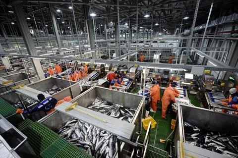 Expansion of Fresh Seafood Supply Network - Image 2